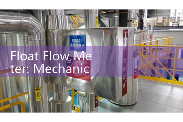 Float Flow Meter: Mechanical Tapered Rotameters and Visual Needle Indicators